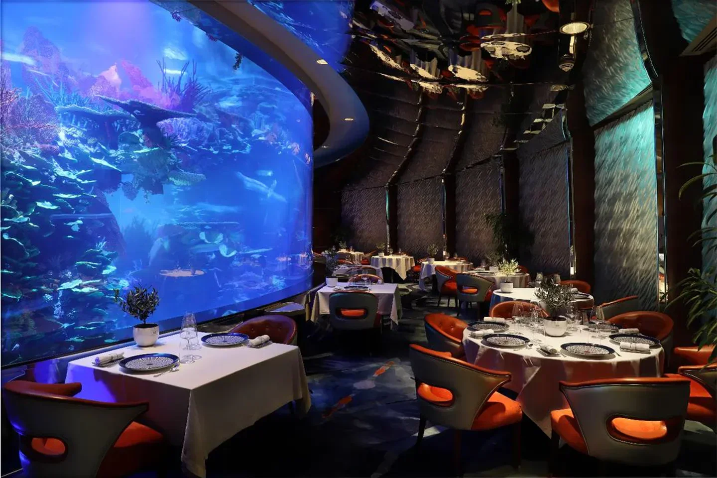 Al Mahara Dubai
