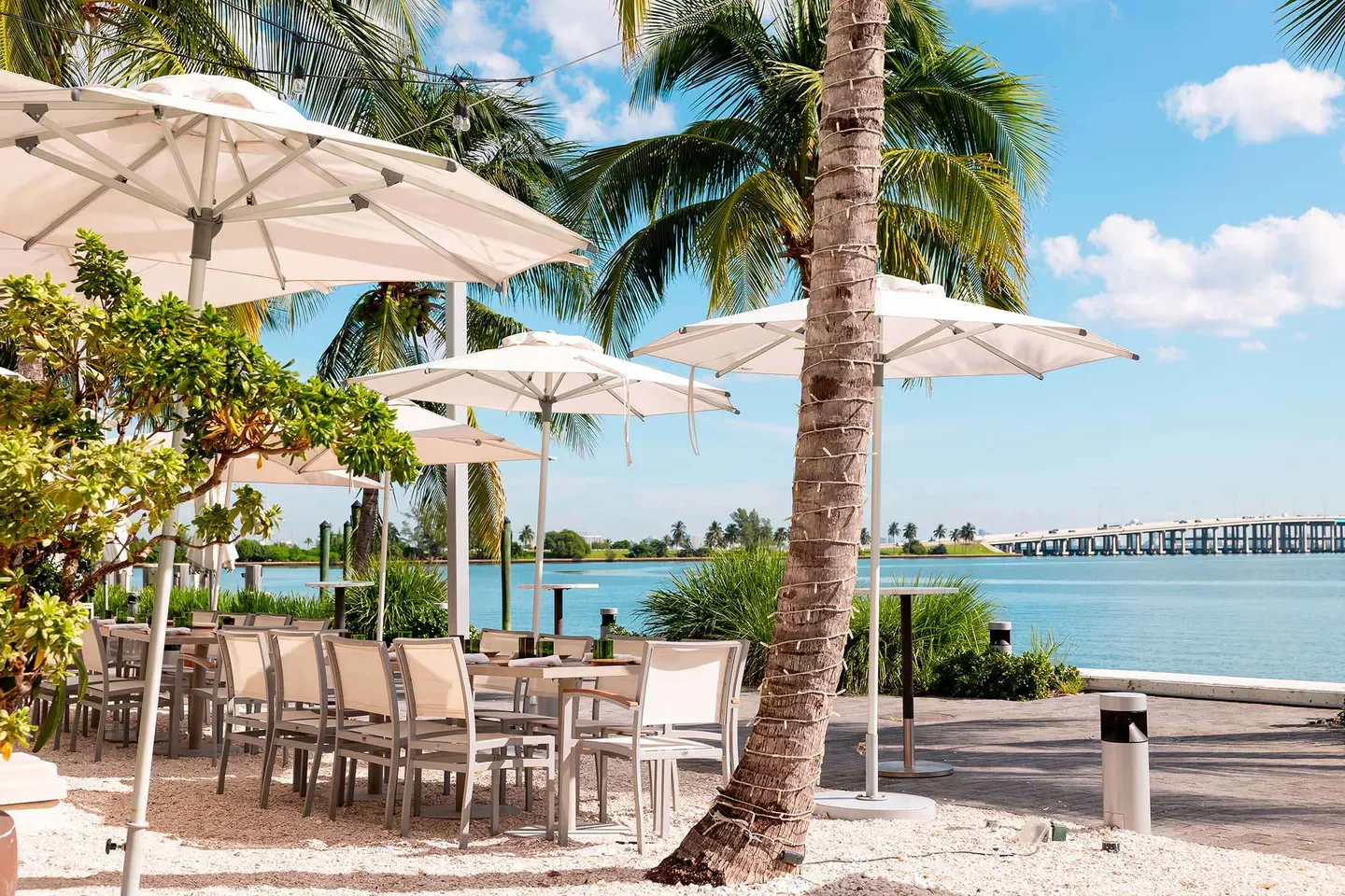 Outdoor dining at Amara at Paraiso, Miami, with waterfront views and palm trees.