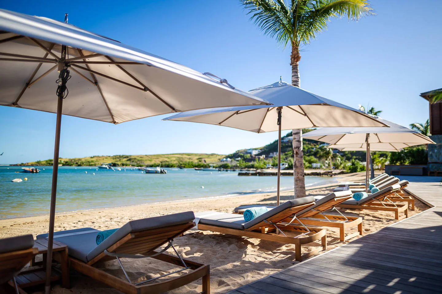 Amis Saint-Barth