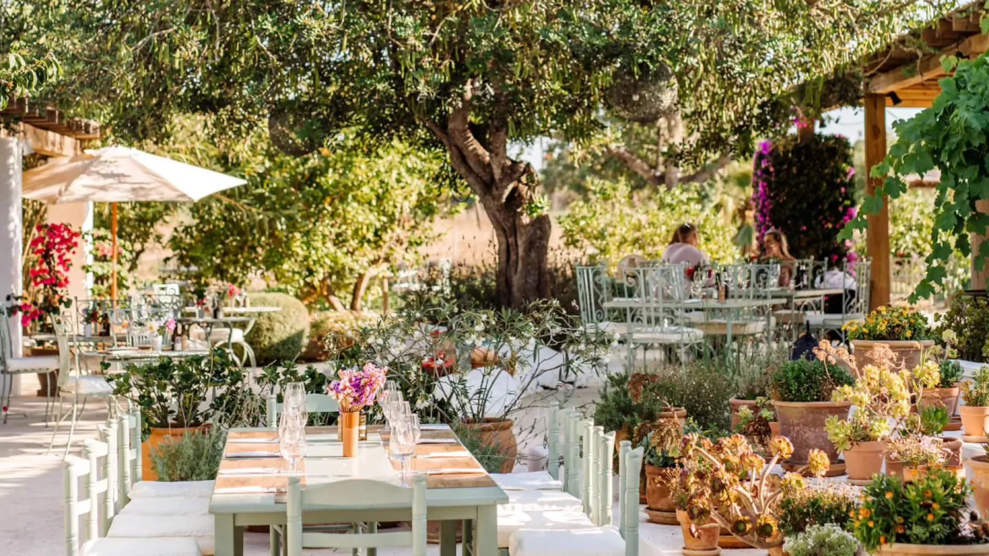 Aubergine Ibiza