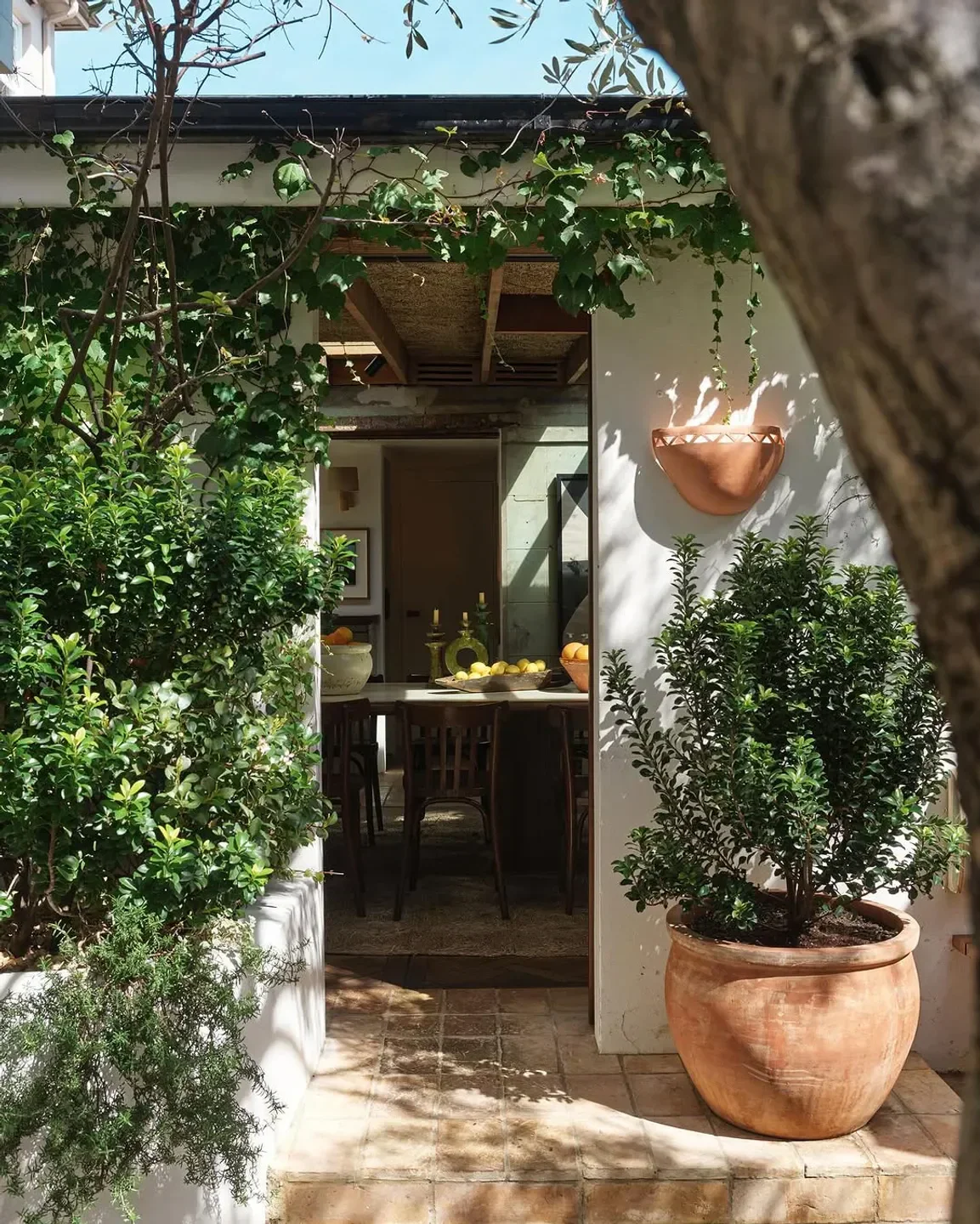 Cozy courtyard entrance to Bar Totti's restaurant in Sydney, featuring potted plants and rustic decor.