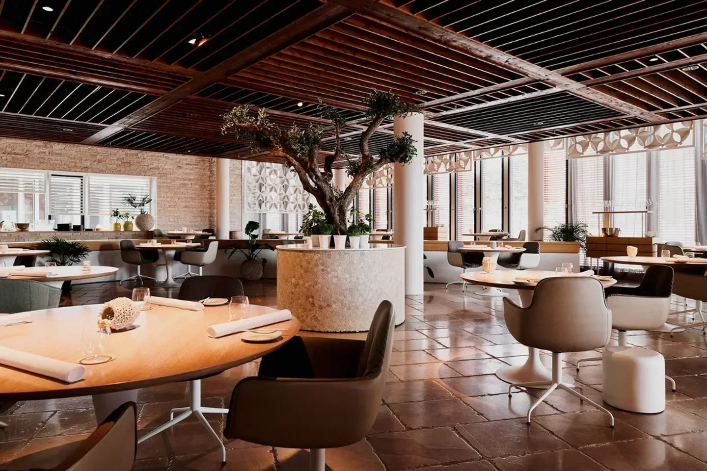 Interior of bianc restaurant in Hamburg, showcasing stylish decor and olive tree centerpiece.