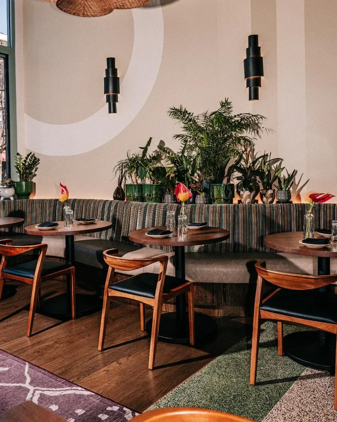 Cozy dining area at Brasero Chicago, featuring stylish chairs and plant decor.