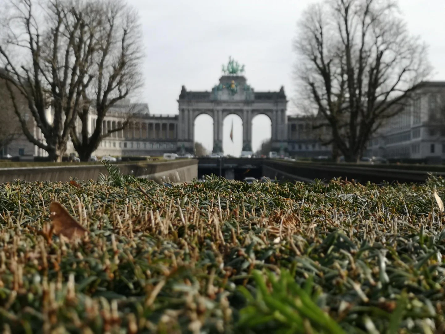 Brussels cover image