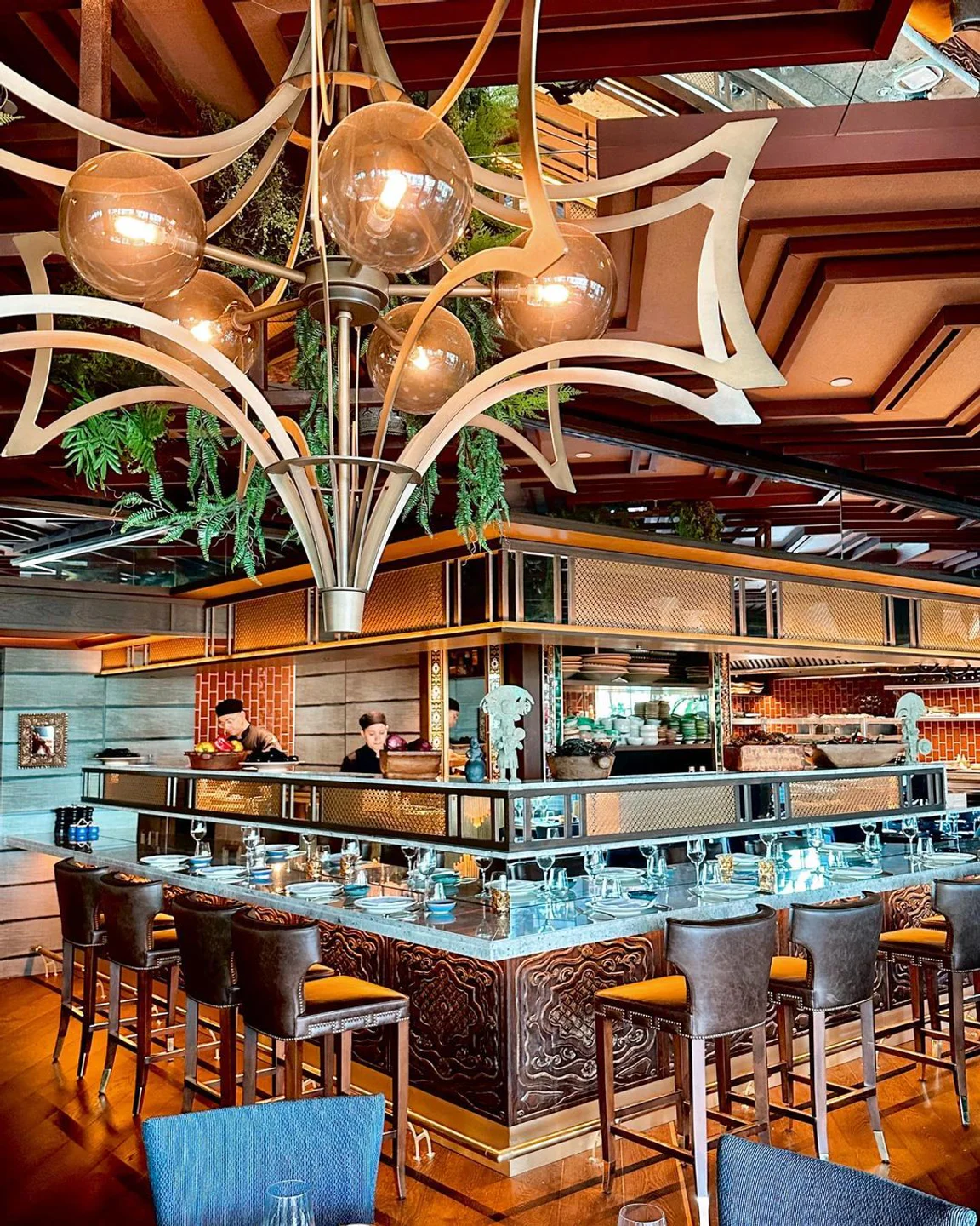 Coya Barcelona