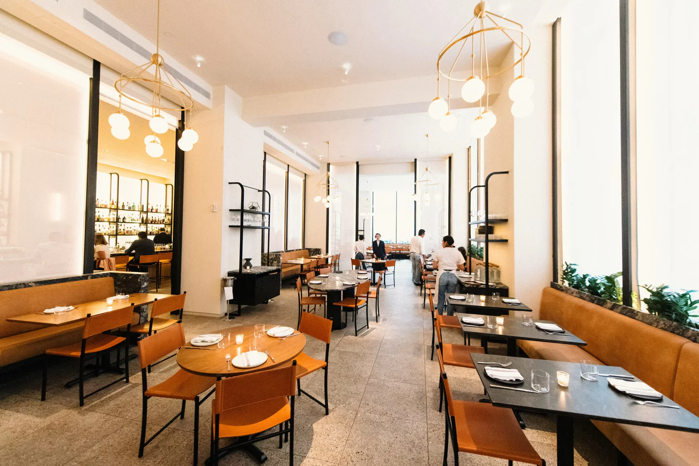 Crown Shy  New-York