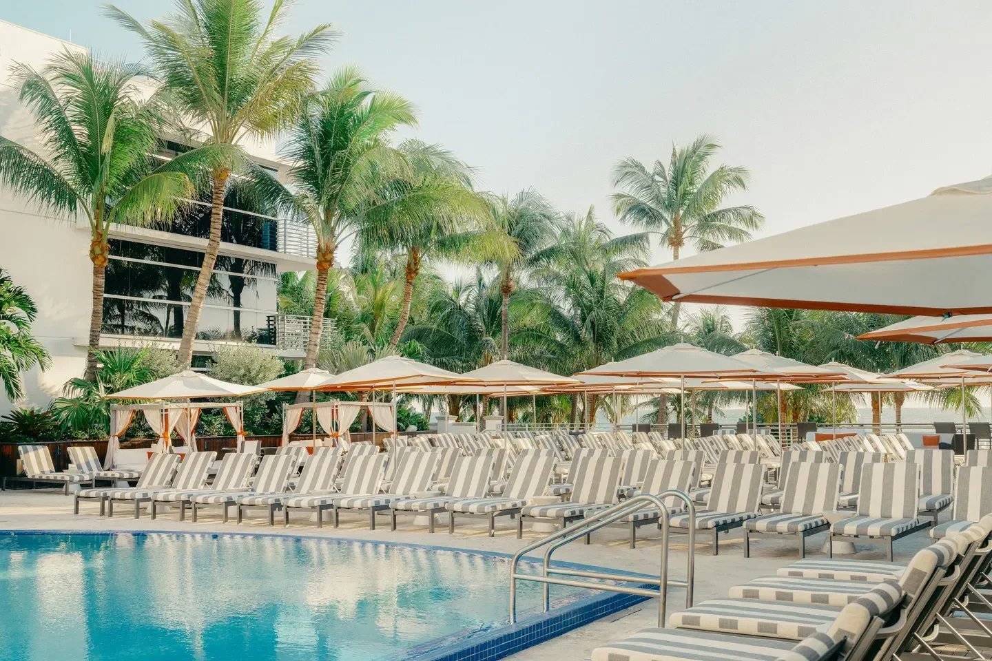 Relaxing pool scene at DiLido Beach Club in Miami with striped loungers and palm trees.