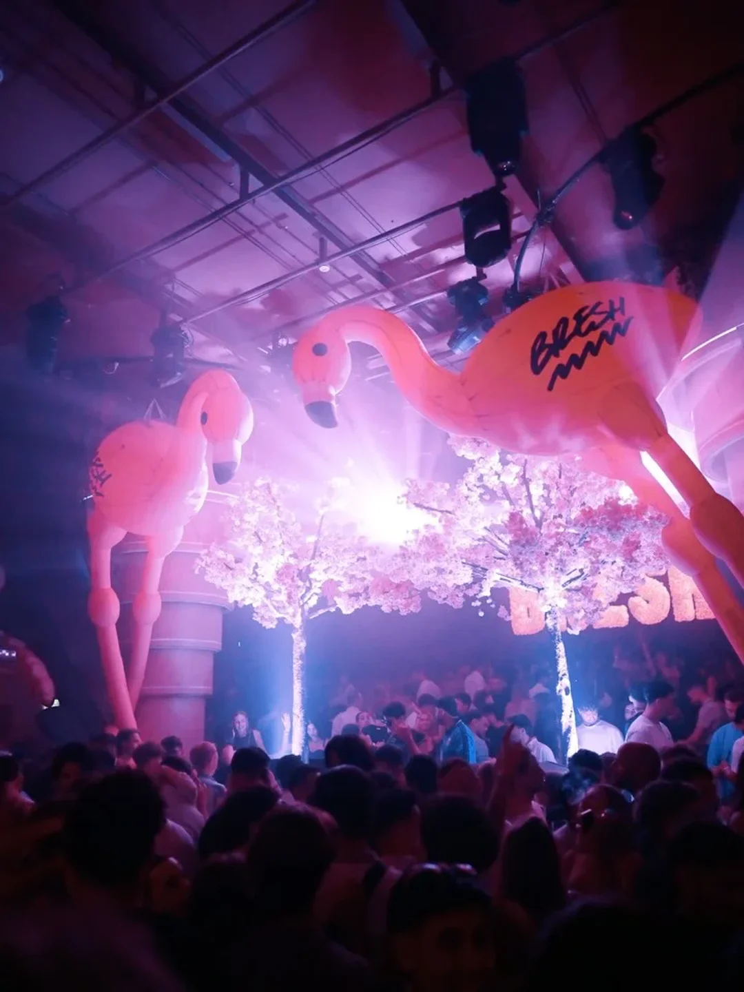 Inflatable flamingos and cherry blossom decor at FITZ Marbella nightclub, with a lively crowd below.