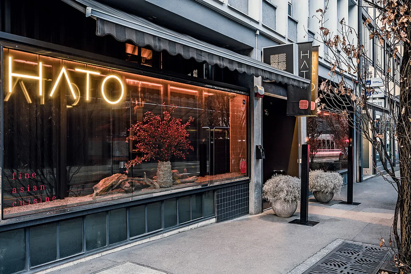Exterior view of Hato restaurant in Tokyo, featuring neon sign and elegant design.