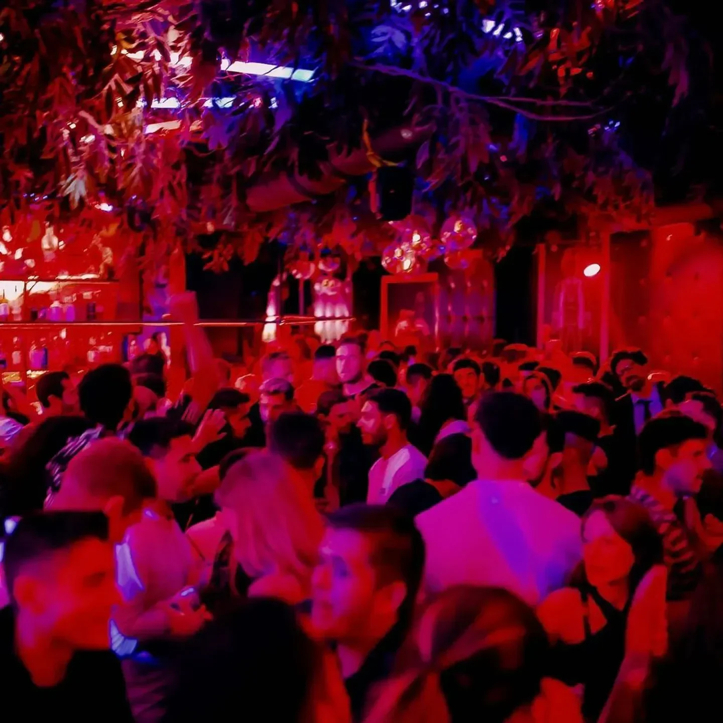 Energetic crowd inside HAVANA the cánovas club in Valencia, dancing and enjoying the night