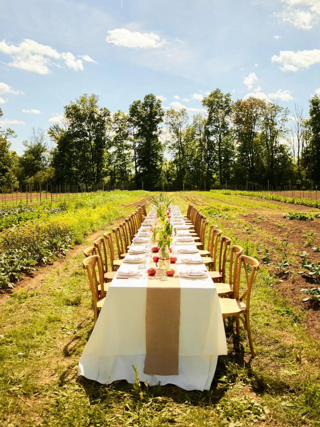 Long farm table set for dining at Jean's restaurant, surrounded by cultivated fields and trees.