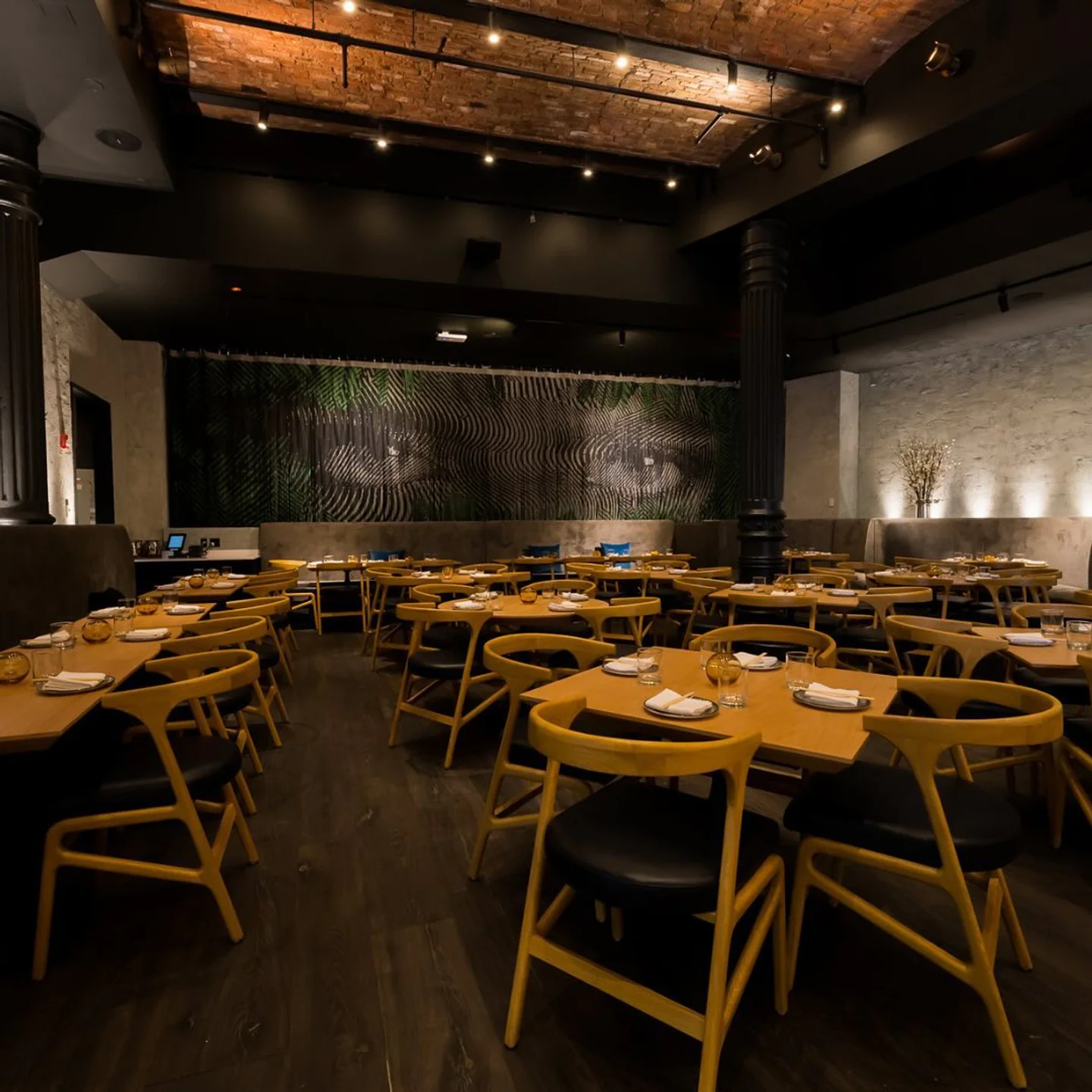 Kyu  New-York