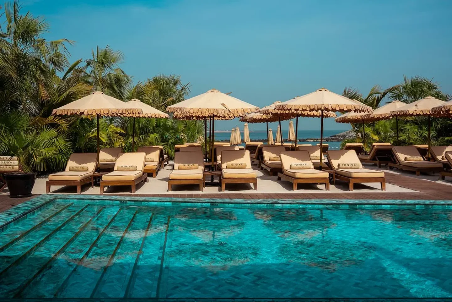 Ninive Beach club exterior with lounge chairs, umbrellas, and a turquoise pool overlooking the city.