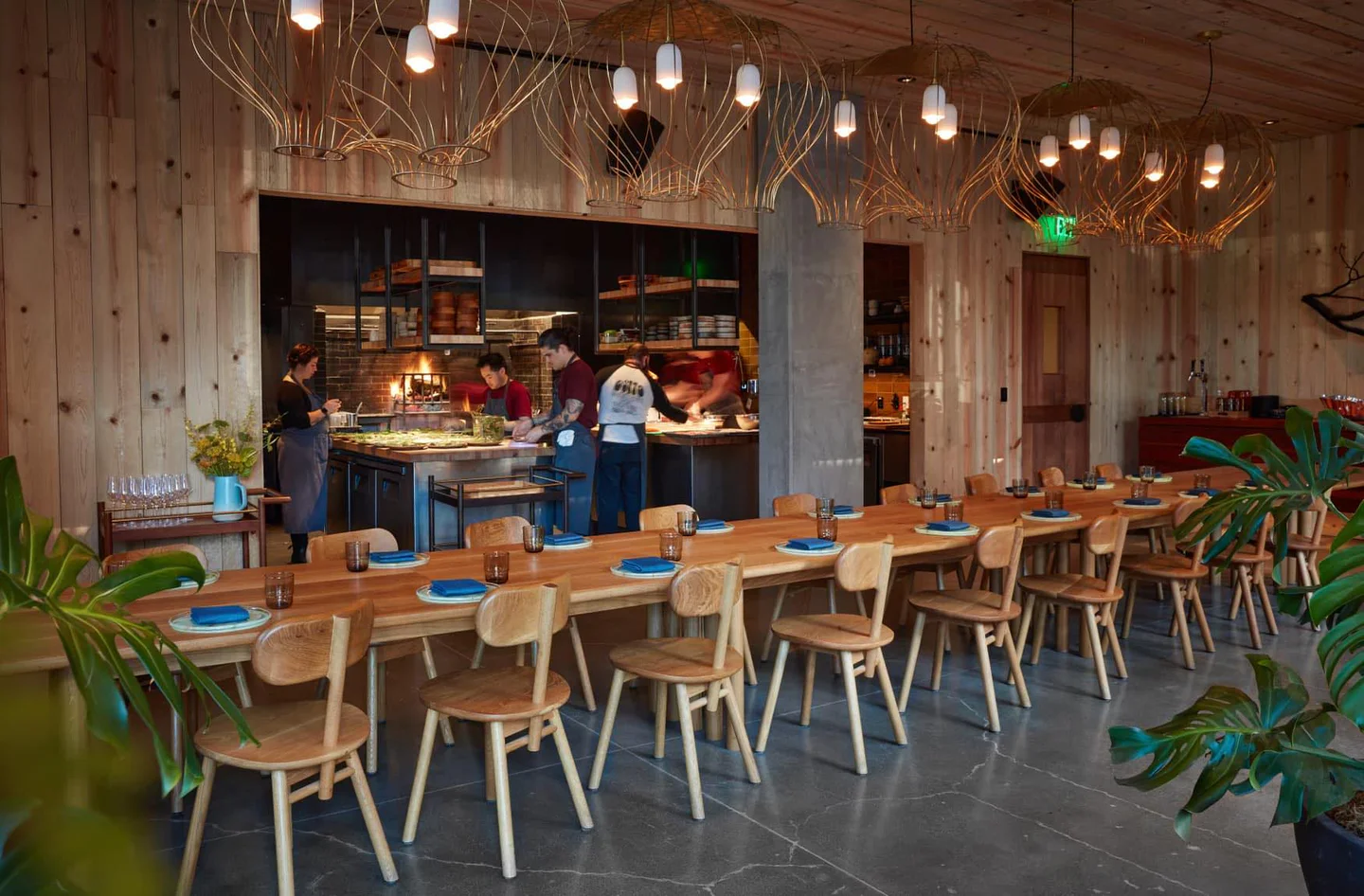 Osito San-Francisco