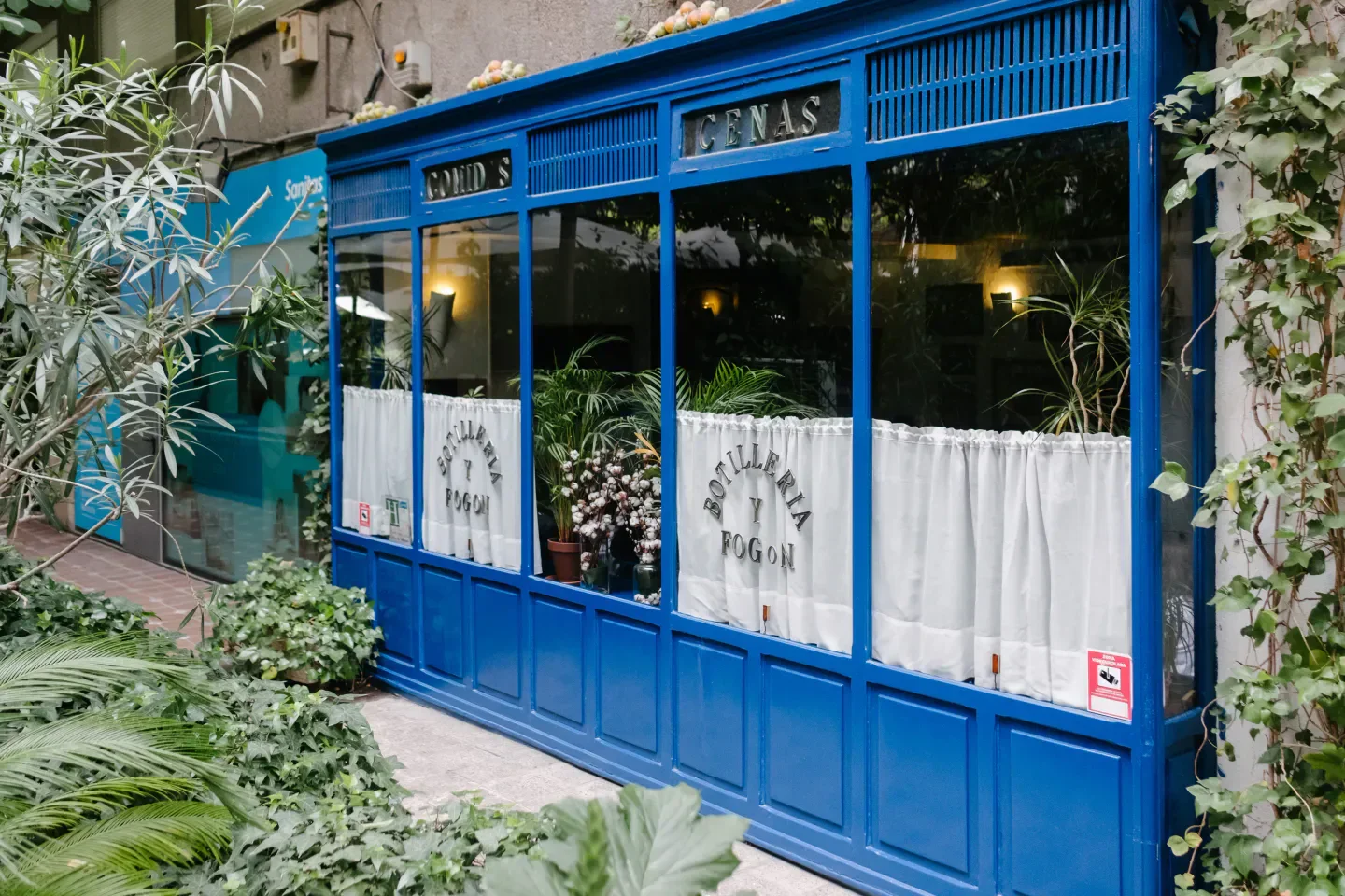 Exterior view of Sacha restaurant in Madrid with blue facade and lush greenery.