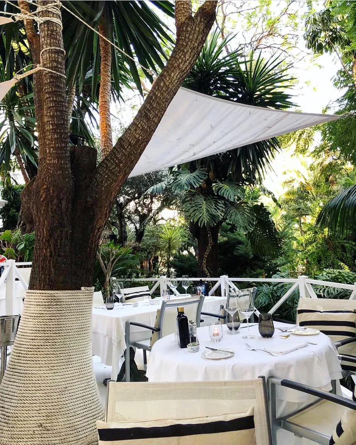 Serafina restaurant's lush outdoor seating area with white tablecloths and tropical greenery.