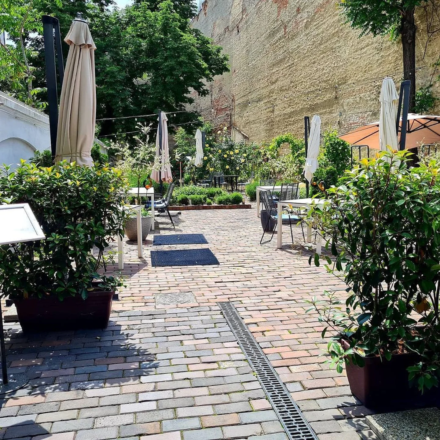 Bucharest, Discover the Best Restaurants, Nightlife, and More