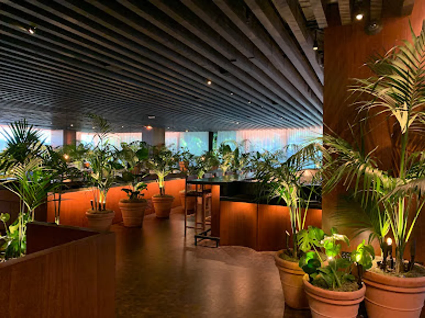 The Roof At Edition Los-Angeles