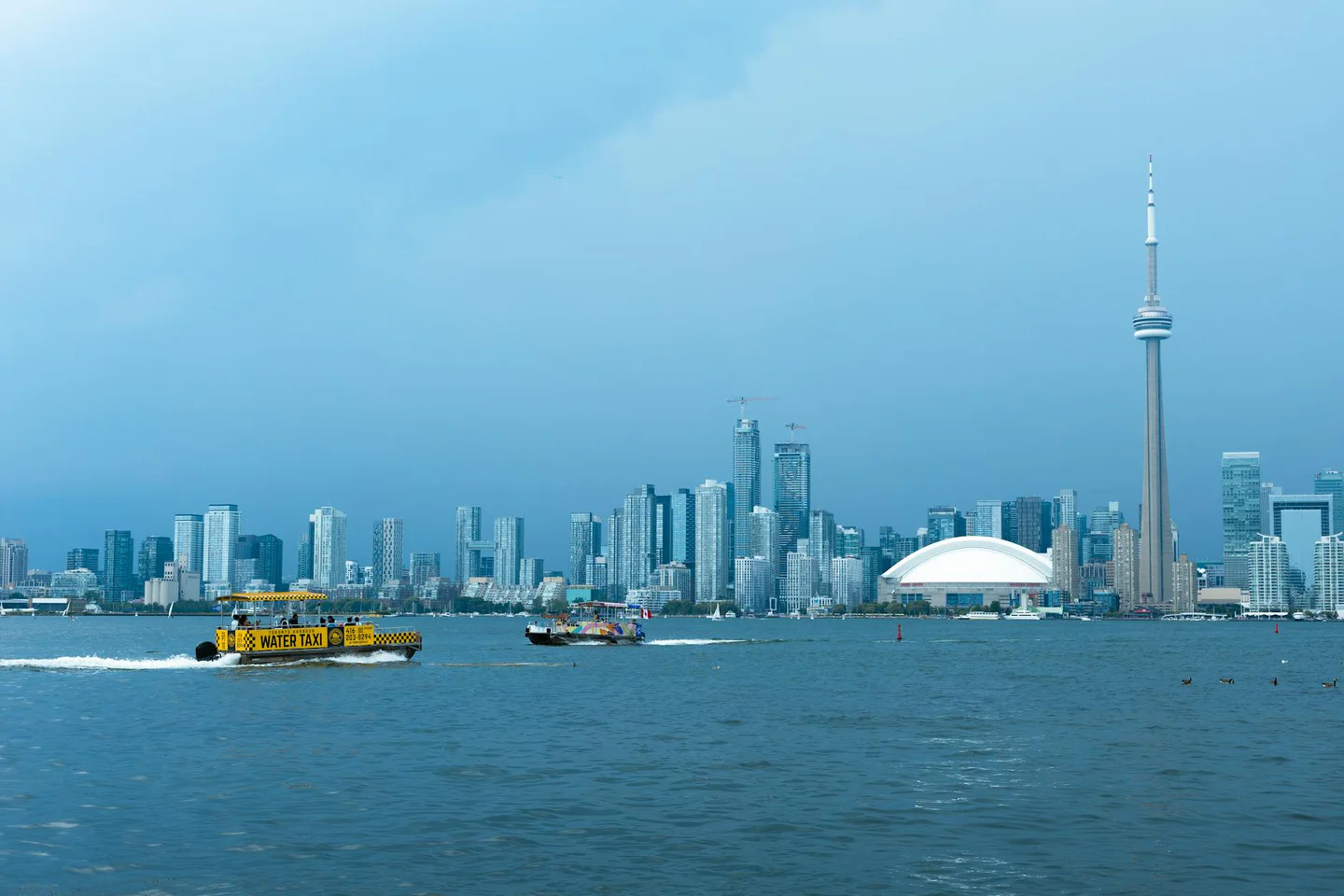 Toronto cover image