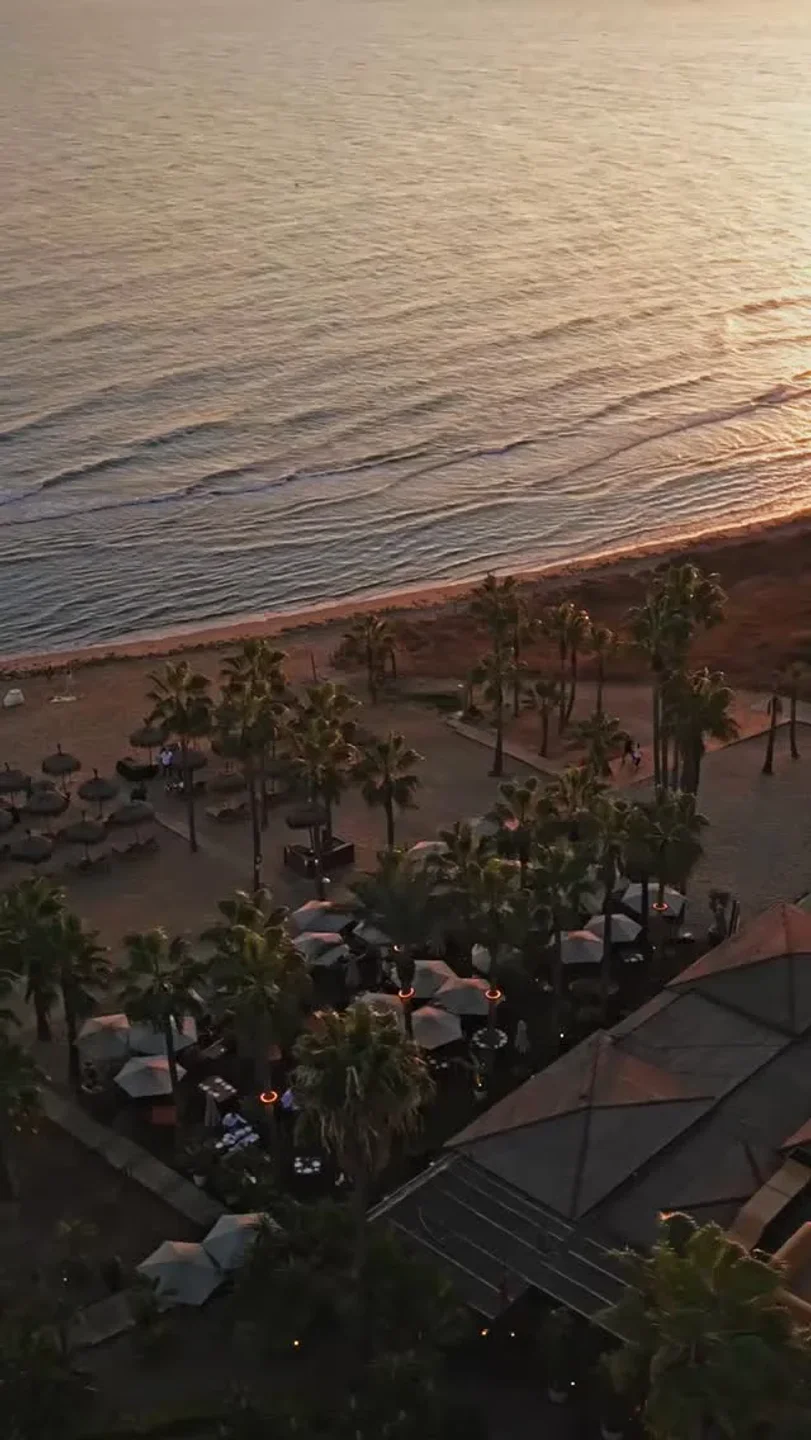 Trocadero Arena beach club with palm trees and umbrellas overlooking the ocean at sunset.