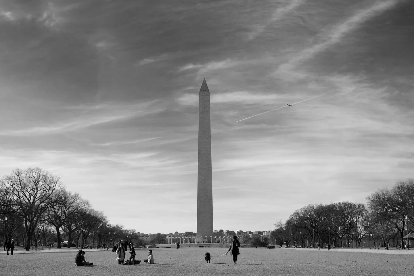 Washington cover image